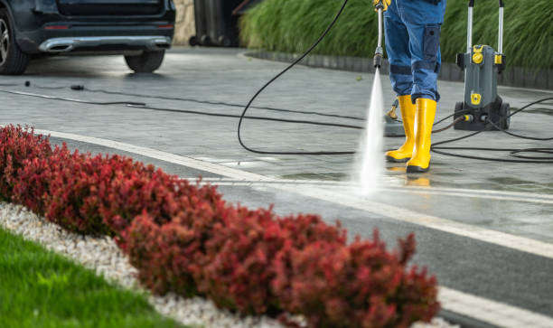 Best Gutter Cleaning  in Worland, WY